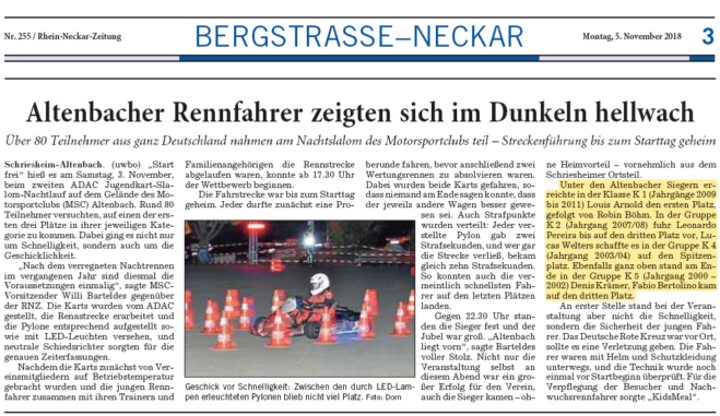 Bericht in der Rhein-Neckar-Zeitung vom 05.11.2018
